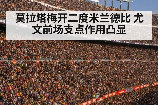football stadium crowd