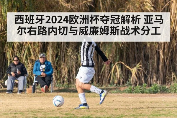 西班牙2024欧洲杯夺冠解析 亚马尔右路内切与威廉姆斯战术分工